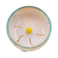 thumbnail image 1 of CAROOTU Hamster Disque de Course Jouet Silencieux Roue de Jogging Jouet de Sport pour Animaux de Compagnie, 1 of 7