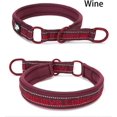 thumbnail image 2 of HAHDAXIA Nylon Dog Choke Collar, Wine, Large, 2 of 7