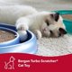thumbnail image 2 of Cat Toy Coastal Pet Turbo Scratch con hierba gatera y pelota, 2 of 9