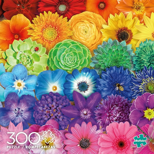 Buffalo Games - Color Explosion - Flower Spectrum - 300 ...