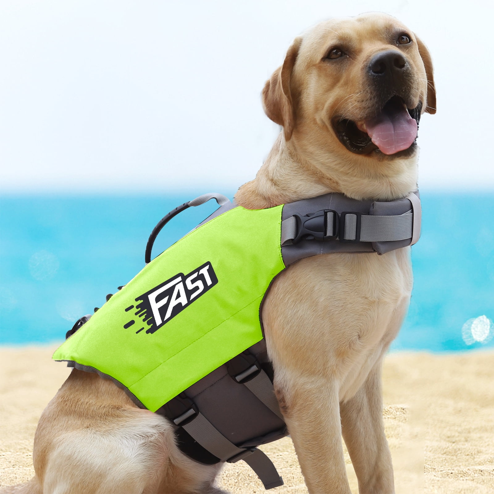 Amztom Dog Life Jacket, Quick Release Buckles & Rescue Handle, Adjustable Breathable Dog Life Vest for Swimming (Green,S)