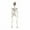 Multicolor, variant on Deeceymbur Realistic Human Skeleton Model with Detachable Bones Halloween Decoration Prop for Educational Display 7.87x4.33x27.56in