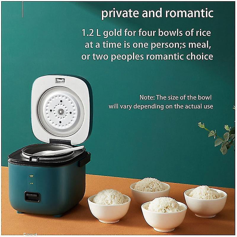 Queto Electric Multi Function Mini Rice Cooker