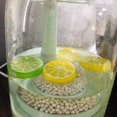 thumbnail image 4 of Simulation Lemon Slices Plastic Fake Artificial Fruit Mini Small Lifelike Model Party Kitchen Wedding Decoration Slices Lights Decorative Fake Fruit (Yellow Lemon Slice, 10 Pieces), 4 of 5