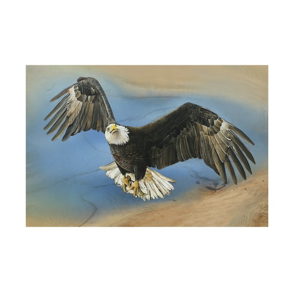 Canvas Wall Art - Jim Brune 'Soaring Bald Eagle Version 2' Wall Art for Living Room, Bedroom, or Office Décor by Trademark Fine Art - 19 x 12 Inches