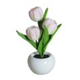 thumbnail image 1 of SHENMO Tulipe led Lampe Lampe de table Décorative Intérieure simulation Tulipe flo, 1 of 4