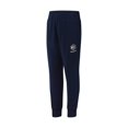 thumbnail image 1 of Pantalones de chándal deportivos Reebok Classic Logo para niños, azul, XXS (4), 1 of 2
