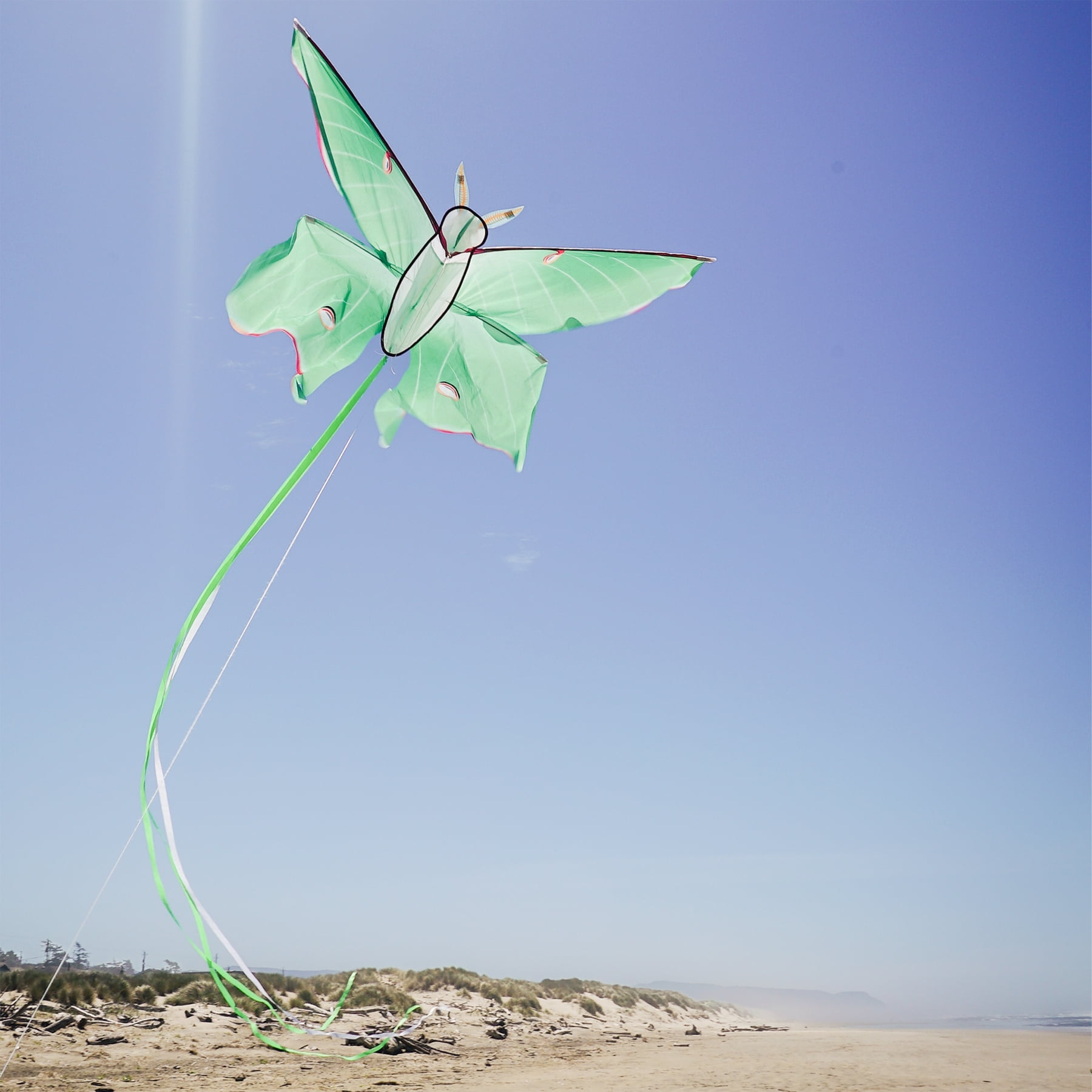 In the Breeze 3398 — Luna Moth Kite — Colorful Easy-Flying Kite with Color-Coordinated Tails, Kite Line Included