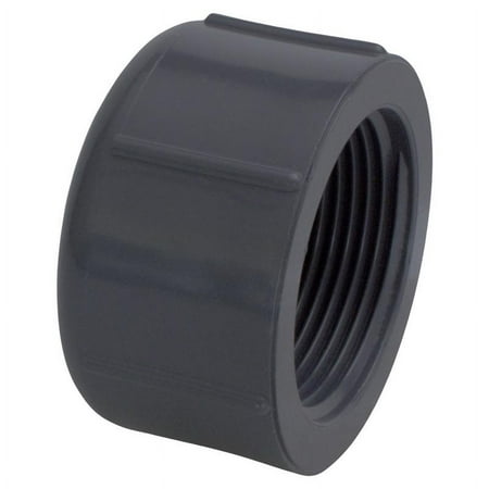 Charlotte Pipe PVC081171200 Threaded Cap Schedule 80 3/4 MPT T X 3/4 D FPT PVC