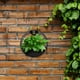 thumbnail image 3 of Soporte para plantas de pared Maceta de pared Soporte para macetas montado en la pared Maceta colgante, 3 of 5