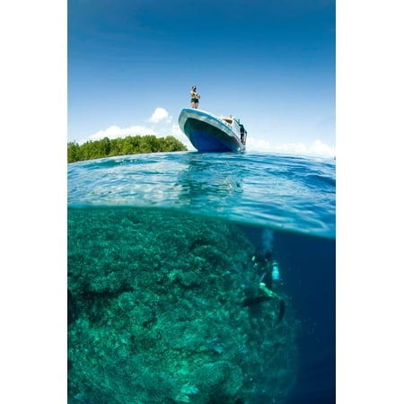 Split shot of a shallow reef with a variety of coral on the Island of Bunaken Indonesia Poster Print by VWPicsStocktrek