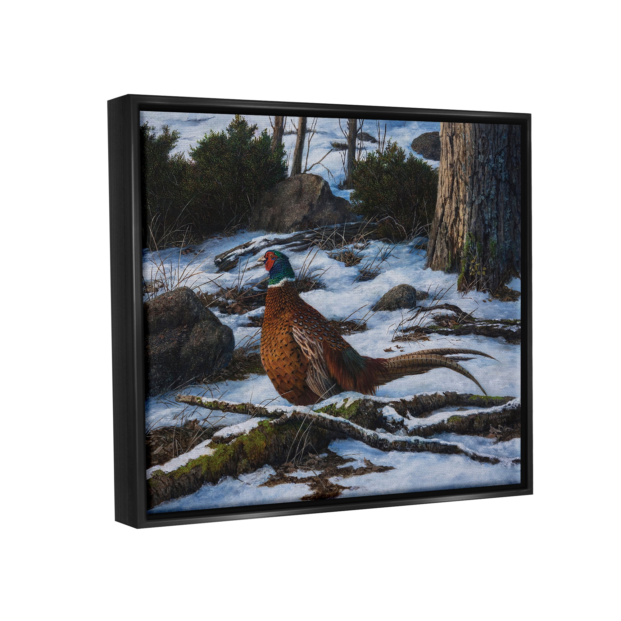 Stupell Industries Pheasant in Snowy Woods Animals & Insects Painting Black Floater Framed Canvas Art Print Wall Art, 21 x 17