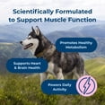thumbnail image 5 of PetAg Dyne Soft Chews, Endurance and Vitality Supplement - 60 Chicken Liver Flavor Chews, 5 of 11