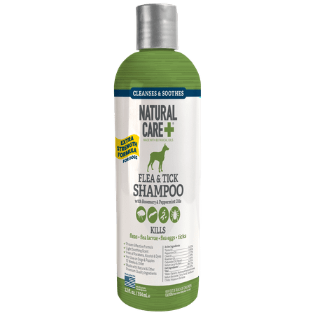 Natural Care Flea and Tick Dog Shampoo | Flea Treatment for Dogs | Flea Killer with Certified Natural Oils | 12 (Best Flea Shampoo Treatment For Dogs)