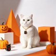 thumbnail image 6 of Halloween Pet Charm Necklace Collar, Cute HalloweenâElement Pendant Decorative Gold Chain Necklace, Pet Accessory for Cats & Small Dogs Halloween Party Dressâup, 6 of 6