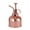 Rose Gold, variant on SPRING PARK Mini Copper Plant Misting Nozzle Watering Can Green House Hand Pressure Sprayer