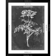 thumbnail image 5 of Art.com Slate Floral II Art Print by Ethan Harper, Black Frame Wall Art, 32" x 40", 5 of 5