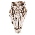 thumbnail image 2 of maskred Halloween Resin Dinosaur Head Skeleton Model Simulated Animal Skeleton Home Office Decor Craft, 2 of 6
