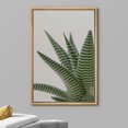 thumbnail image 3 of wall26 Framed Canvas Print Wall Art Southwest Rustic Desert Striped Snake Plant Nature Wilderness Photography Realism Floral Botanical Multicolor for Living Room, Bedroom, Office - 24"x36", 3 of 5