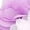 Purple, variant on WSEVYPO Baby Girls Walking Shoes Infant Soft Sole Sneakers For First Walkers
