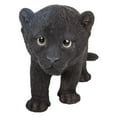 thumbnail image 7 of Hi- Line Gift 87696-B Black Panther Cub Statue, 7 of 7