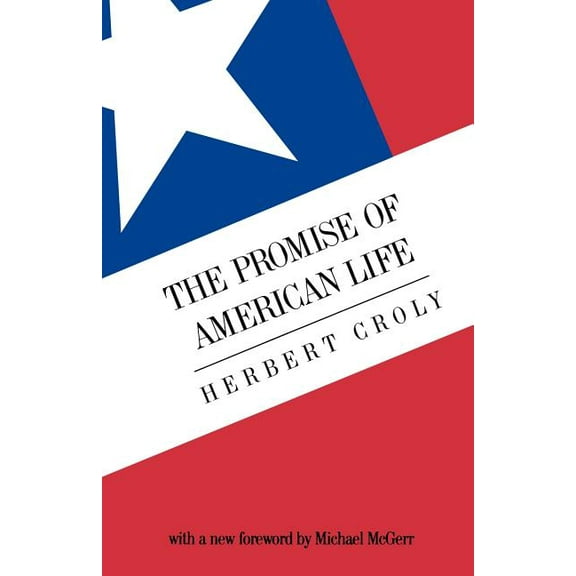 The Promise of American Life (Paperback)