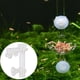 thumbnail image 5 of Tubo de alimentación para peces, cuenco para acuario, comedero para camarones de cristal., 5 of 10