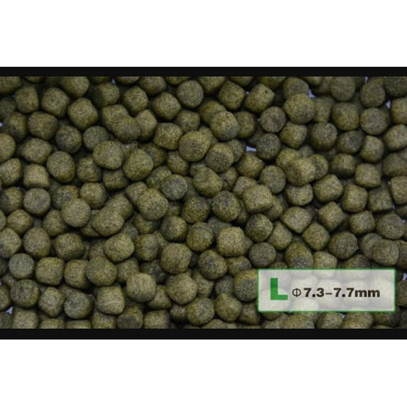 Aqua Master Staple Koi Food (1 KG) - Large Pellets