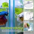 thumbnail image 3 of Qiopertar Clearance Home Decor Rumble Fish Acrylic Tube Tunnel Hollow Design For Better View Of Rumble Fish Tank Decoration On Clearance Early Access Deals, 3 of 7