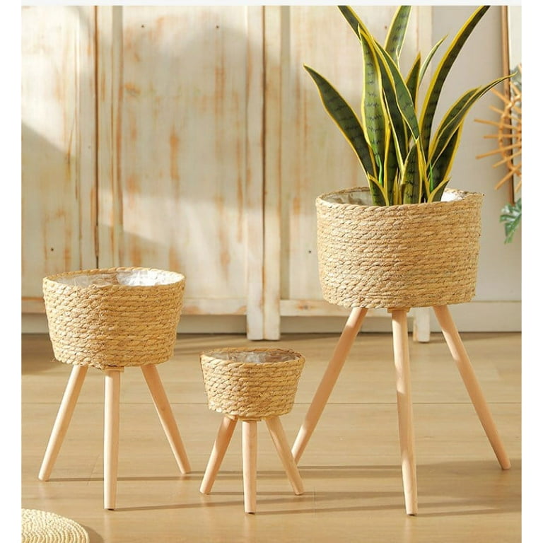 greek plant pots Greek Ring Pot – The Palms Sydney main image 1