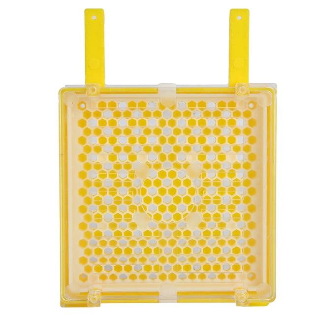 Caja De Apicultura ANGGREK Kit De Injerto De Cría De Abejas No Tóxico Resistente A La Corrosión