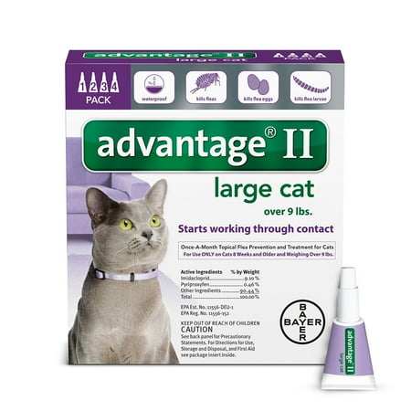 Best options for fleas on dogs