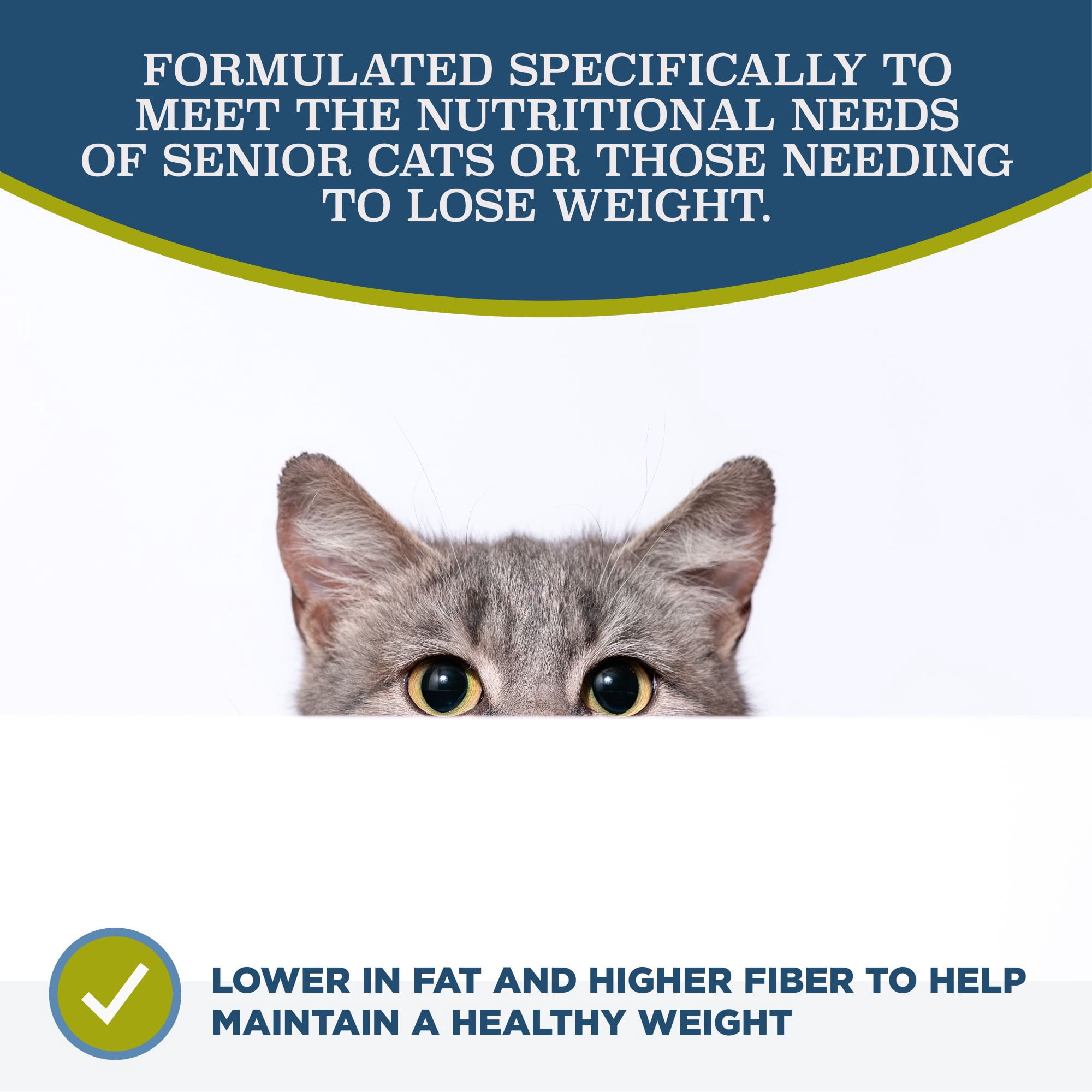 Blackwood Lean & Senior Chicken Meal & Brown Rice Recipe Dry Cat Food for Senior Cats, 13.2 lb. Bag