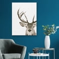 thumbnail image 2 of Fine Art Canvas Ciervo 1 Buck by The Studio Canvas Art Print, 2 of 4