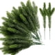 thumbnail image 1 of Ramas de pino artificiales Plantas verdes Agujas de pino-30 piezas, 1 of 5