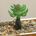thumbnail image 2 of Coofit Mini Artificial Succulent DIY - Faux Succulent Plant Plastic Greenery Decoration, 2 of 3