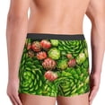 thumbnail image 6 of Cauagu Cactus And Succulents Print Boxer Briefs for Men,Comfortable Breathable Men's Underwear Moisture Wicking Underpants -XX-Large, 6 of 8