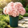 thumbnail image 3 of Artificial Outdoor Hydrangea Flowers 19 in Silk Floral Bouquet, UV Resistant Faux Plant Bush Spray Accent for Garden Patio Porch Home Table Centerpiece Decor, 3 of 5