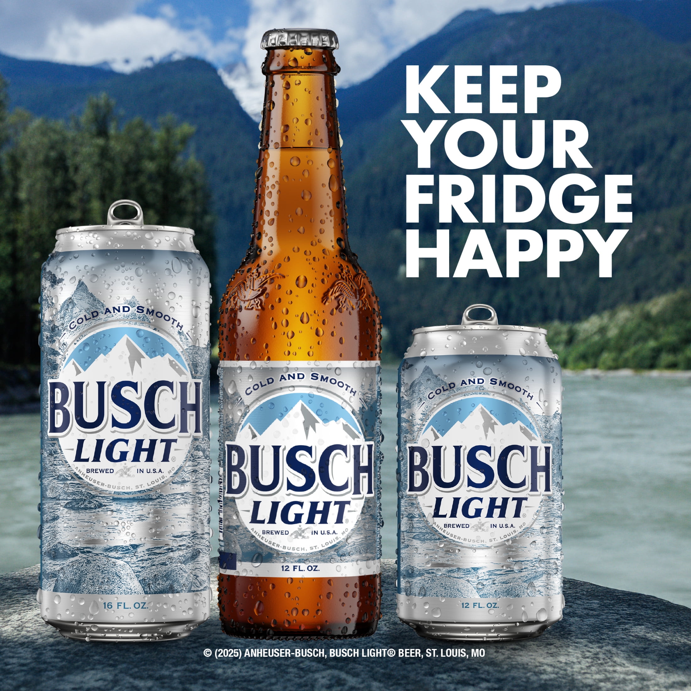 人気ビール 日本未発売 アメリカ BUSCH LIGHT ブッシュライト 30缶 Busch Light American Light Lager Beer 30 Pack 12 fl oz