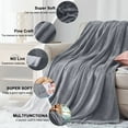 thumbnail image 6 of Astarin Throw Blanket, Twin Size Gray Blankets & Throws for Couch/Beds, Fuzzy and Cozy Blanket, 60x80 inches, 6 of 9