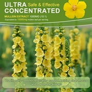 Mullein Drops for Lungs 300,000‬mg, Lung Detox & Cleanse, 16 in 1 Vegan Mullein Leaf Extract Tincture with Chlorophyll, Elderberry, etc, Natural Herbal Supplement for Respiratory, Immune, 30 Servings