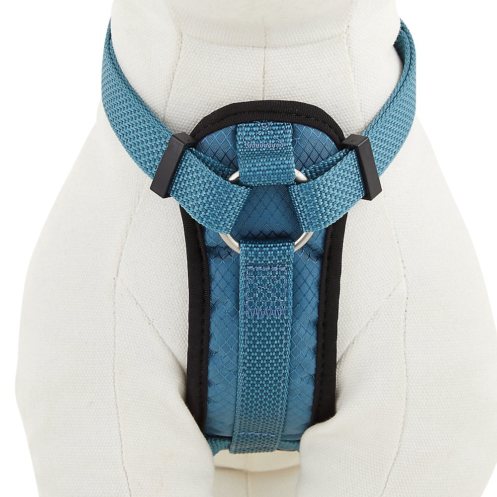 KONG Comfort Padded Chest Plate Dog Harness (Medium, Blue)