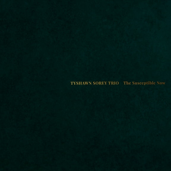 Tyshawn Sorey Trio - The Susceptible Now - Music & Performance - CD