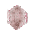 thumbnail image 4 of Women's Quilted Tote Bag, Floral/Gingham, 4 of 4