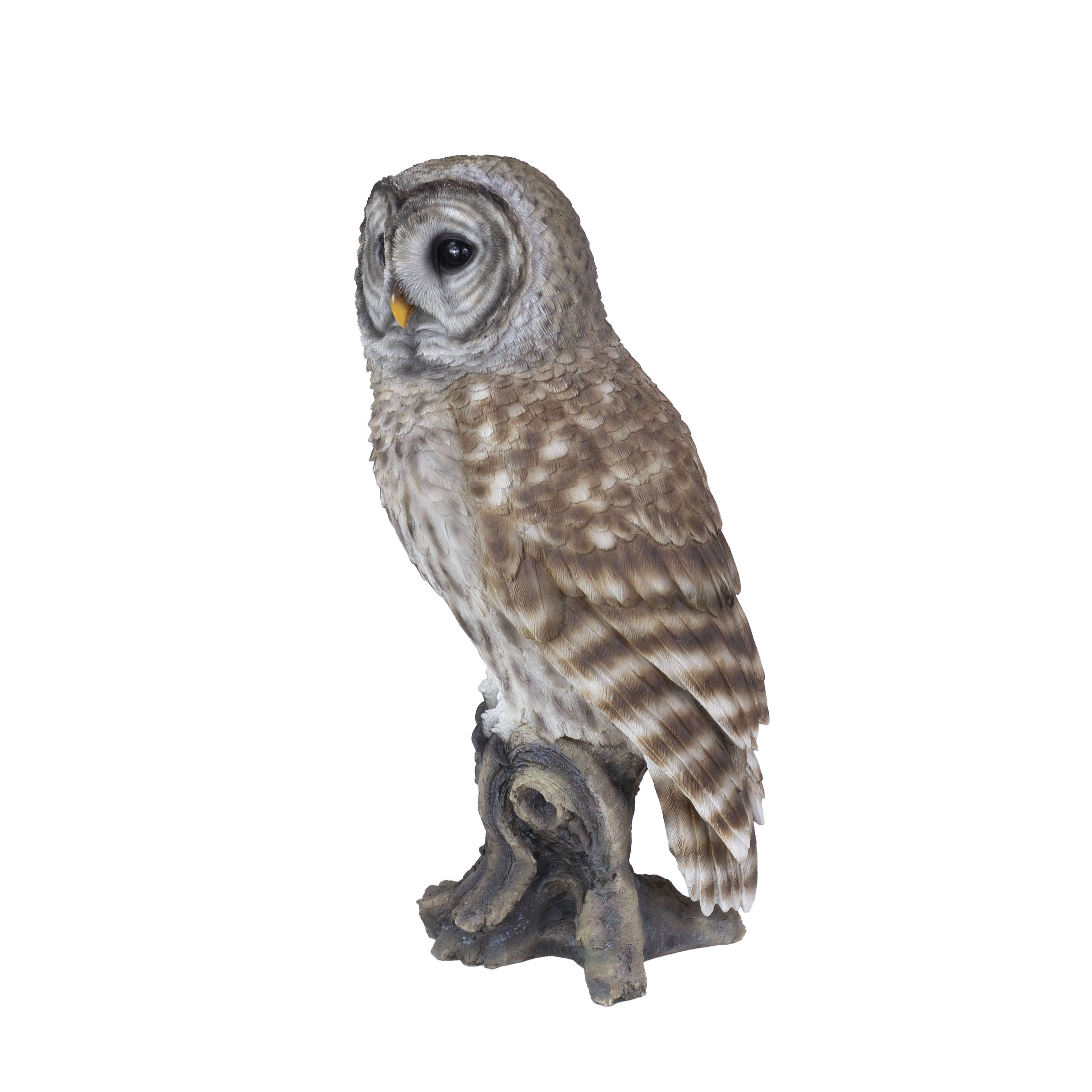 SOREAL Brown Barred Owl on branch | Handcrafted Decorative Bird Statue for Home & Garden | Premium Polyresin, Weather-Resistant Indoor/Outdoor Decor