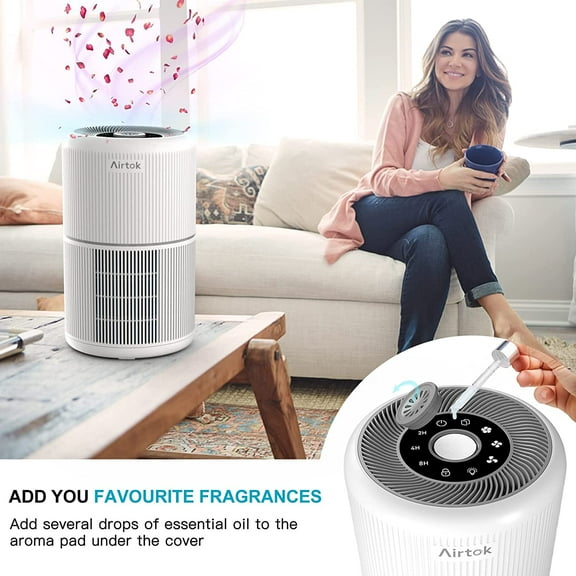 2 Pack Air Purifier for Home Bedroom with H13 True HEPA Filter