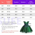 thumbnail image 7 of Girls Fairy Christmas Party Dress Flower Princess Birthday Pageant Ball Gown, 7 of 7