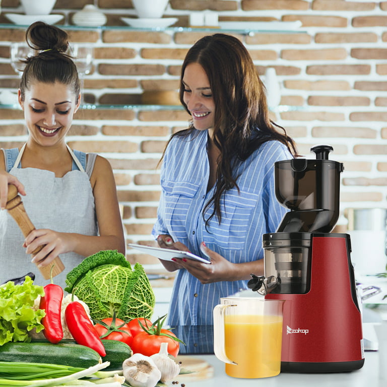 Mecity Small Masticating Juicer Electirc Slow Juicer with Reverse Function  For Home, Easy to Clean Juicer Extractor with Travel Bottle, Self-Feeding