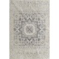 thumbnail image 1 of Amer Rug CAM3331157 3 ft. 11 ft. X 5 ft. 7 in. Cambridge 33 Power-Loomed Area Rug - Platinum, 1 of 1