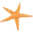 thumbnail image 4 of Starfish Assortment (30Pc) - Craft Supplies - 30 Pieces, 4 of 7